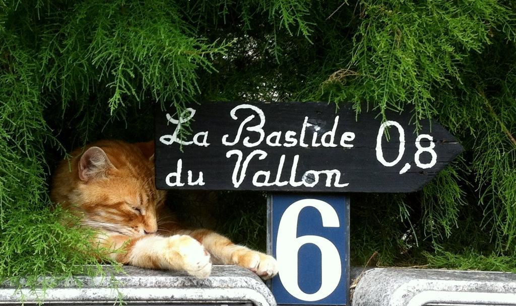 La Bastide Du Vallon ξενώνας Saumane-de-Vaucluse Εξωτερικό φωτογραφία