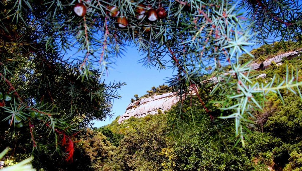 La Bastide Du Vallon ξενώνας Saumane-de-Vaucluse Εξωτερικό φωτογραφία