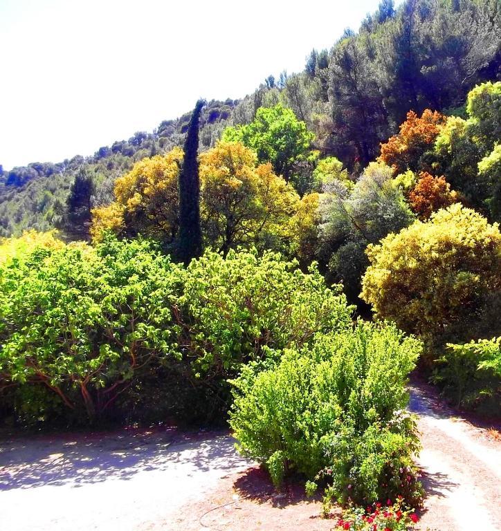 La Bastide Du Vallon ξενώνας Saumane-de-Vaucluse Εξωτερικό φωτογραφία